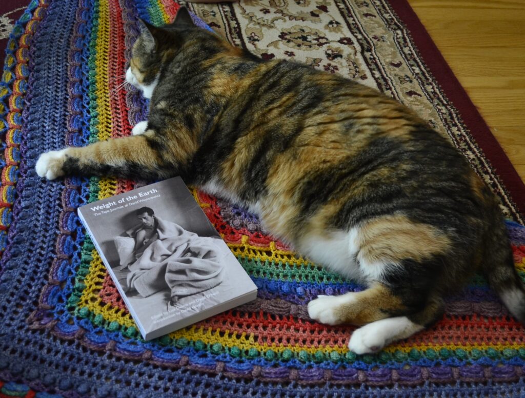 A calico tabby lies on a triangular rainbow-striped shawl, beside a paperback book with a black-and-white cover.
