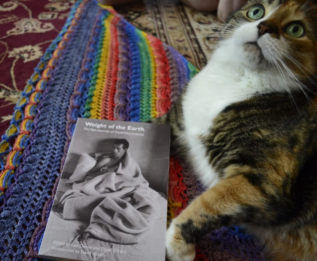 A calico tabby looks up with wide eyes. She is lying on a crocheted rainbow shawl beside a black-and-white paperback book.