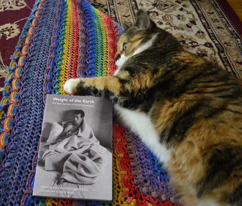 A calico tabby lies of her side with her eyes wide and her chin down in surprise. Her front paw rests on a rainbow shawl and the top edge of a Weight of the Earth.