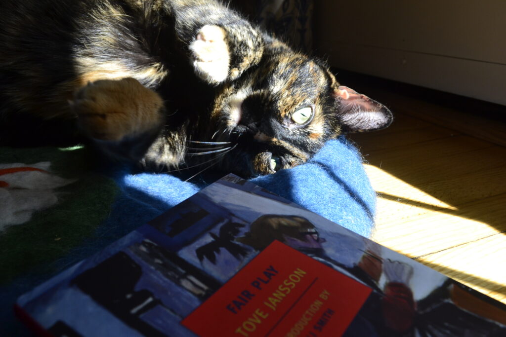 A tortoiseshell cat rolls belly-up into a sun beam. Beside her is a book.