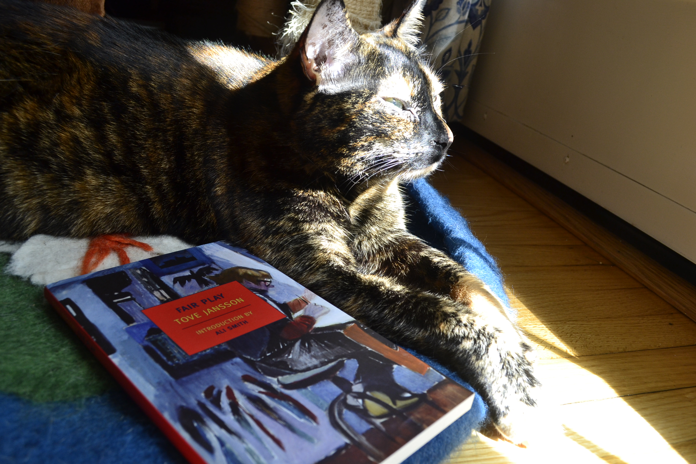 A tortoisehsell cat squints up at a sunbeam. Beside her is a copy of Tove Jansson's Fair Play.