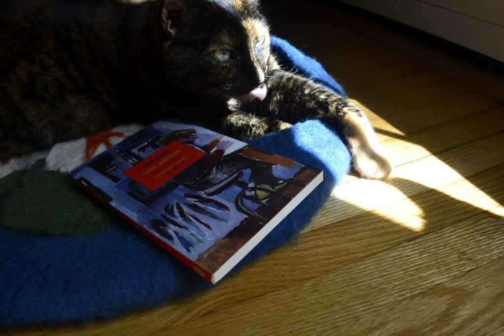 A tortoiseshell cat lounging in the sunlight sticks her tongue out happily.