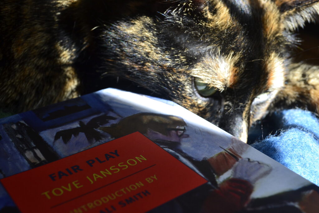 A tortoiseshell cat busies her nose below the edge of a book, basking in the sunlight.