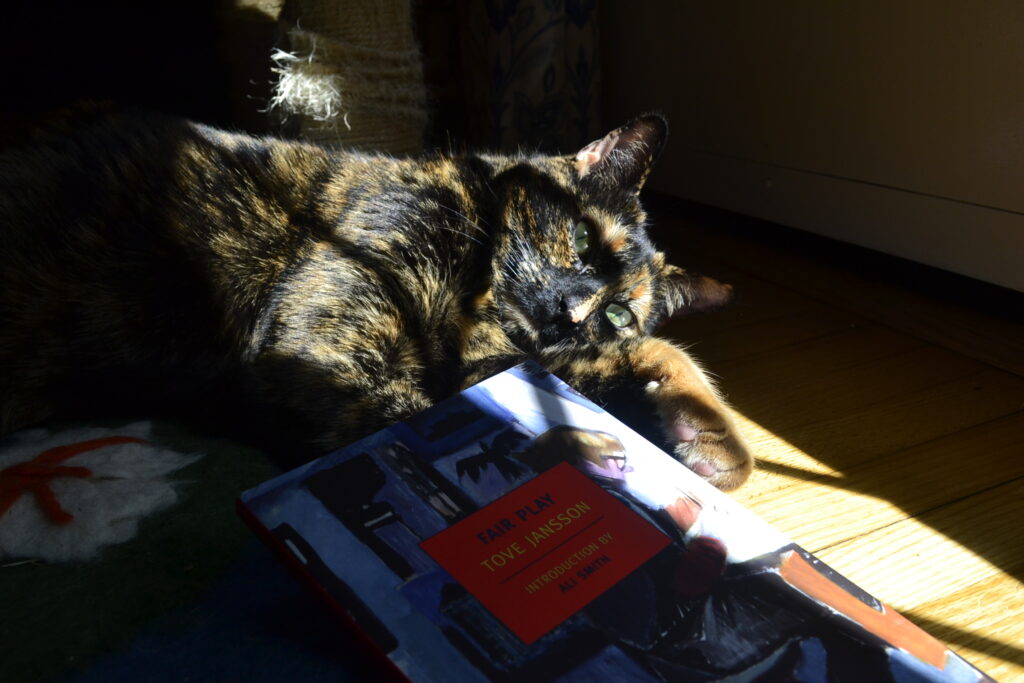 In bright, barred sunlight, a tortoiseshell cat lies on her side and loosely wraps her paw along the side of a book.
