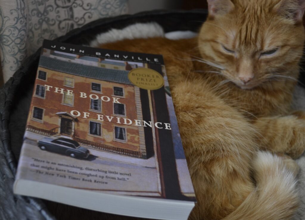 An orange cat closes her eyes contentedly as a paperback book settles onto her flank.