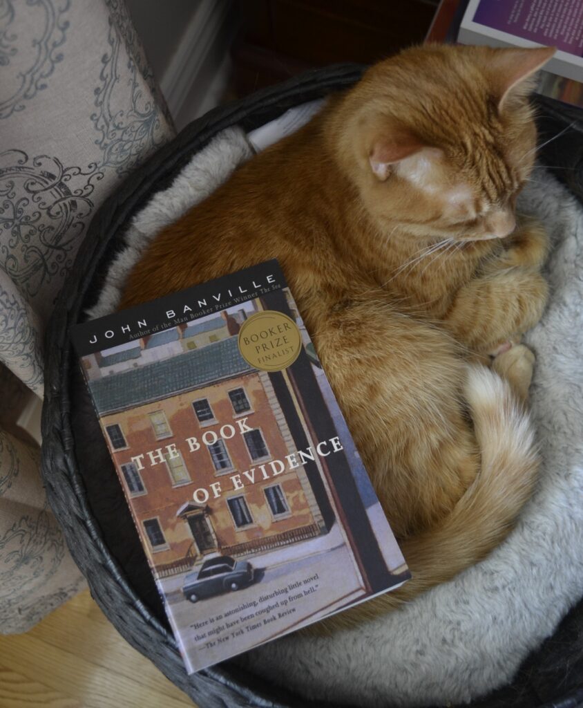 The Book of Evidence by John Banville is a paperback book featuring a red-brick building in a European street on the cover.
