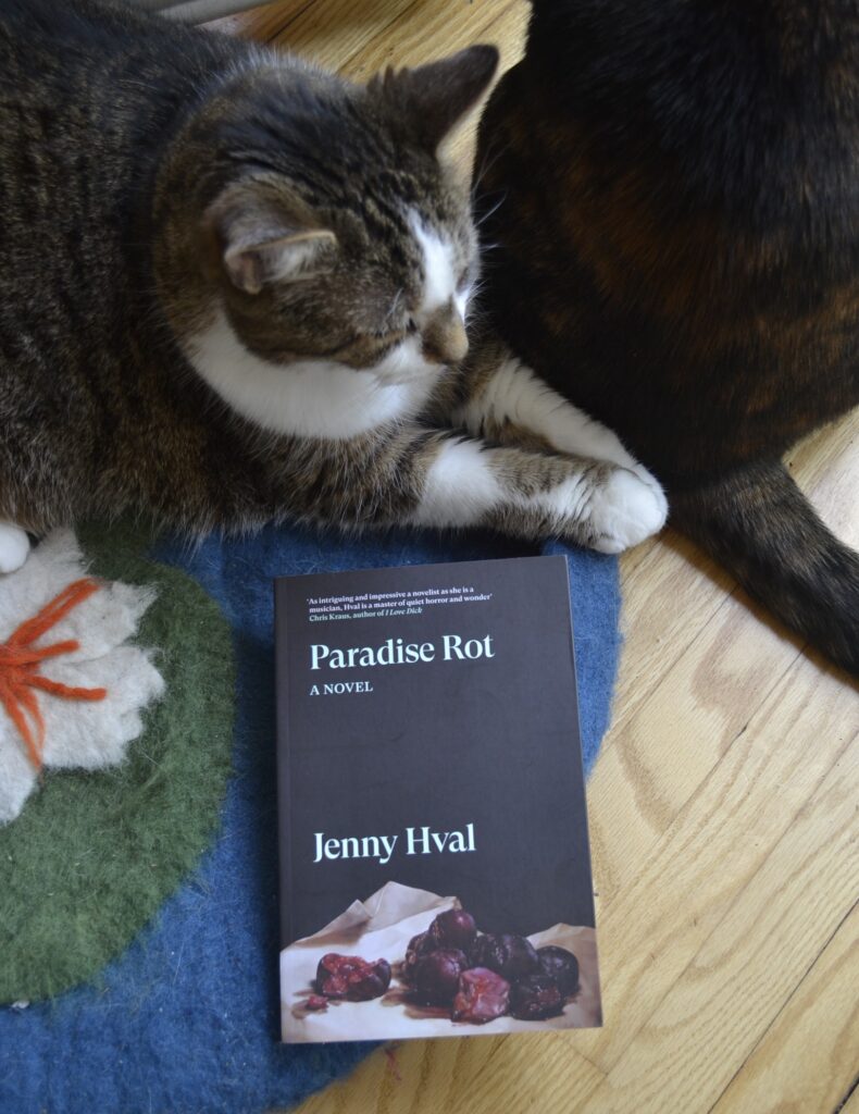 Framed by two cats is a copy of Jenny Hval's Paradise Rot. The book is a small, mostly black paperback, with a picture of crushed and rotting berries on the cover.
