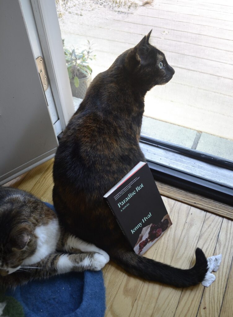 A tortoiseshell cat curls her tail around a paperback book, Paradise Rot. The book is leaning on her side. She is nearly sitting on a tabby cat, who looks away.