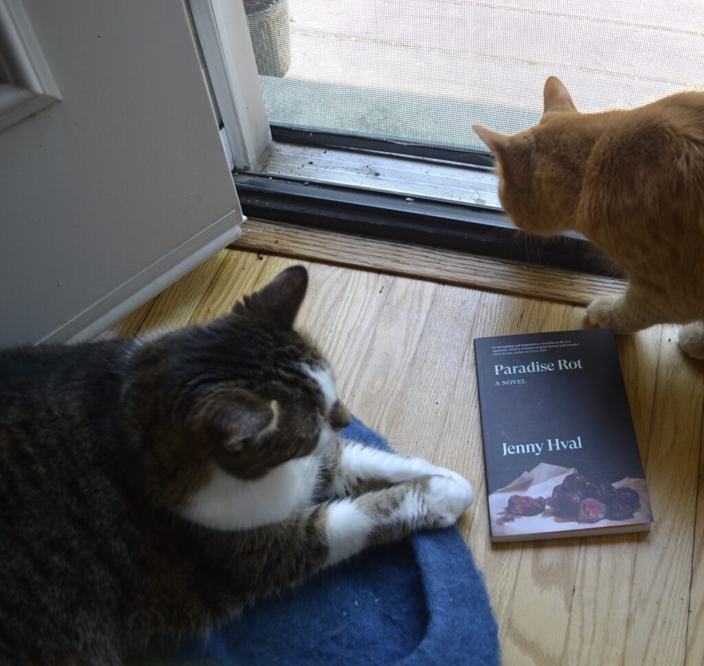 An orange tabby and a brown tabby frame a paperback copy of Paradise Rot.