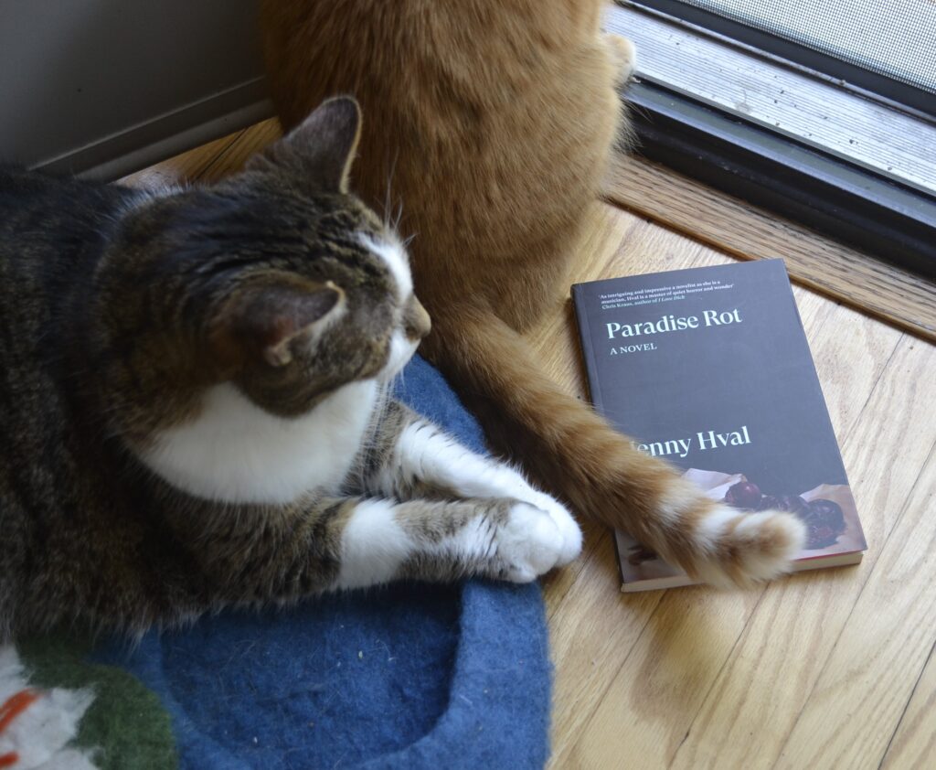 An orange tabby with a white-ringed tail crowds a senior cat and rests her tail on a paperback copy of Paradise Rot.