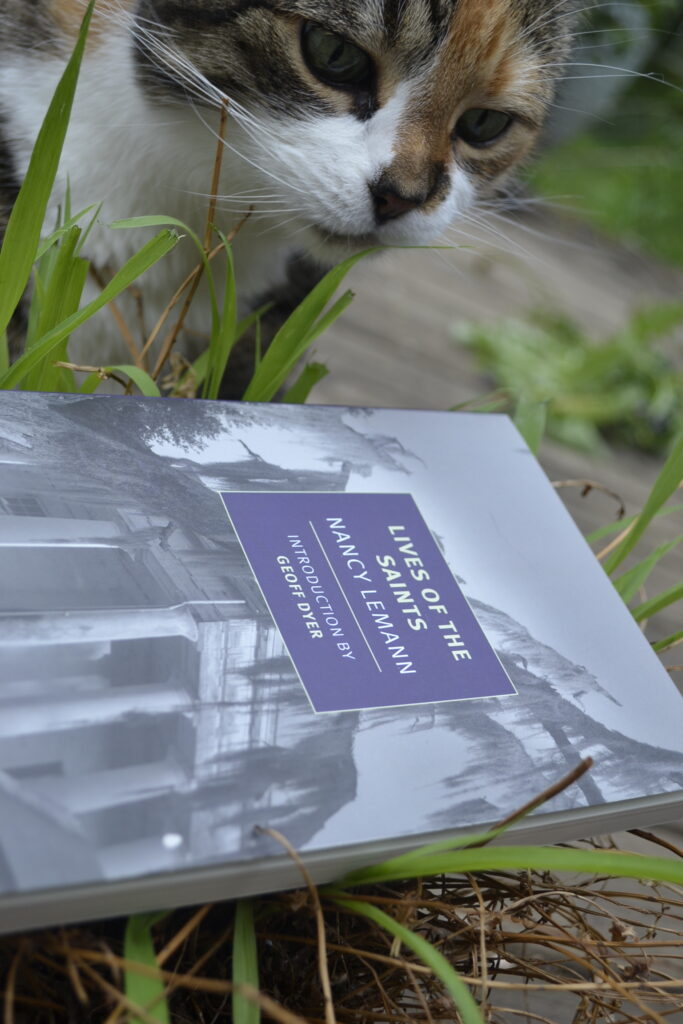 A calico tabby chews the tips off of blades of grass. A book lies in the grass: Lives of the Saints by Nancy Lemann.