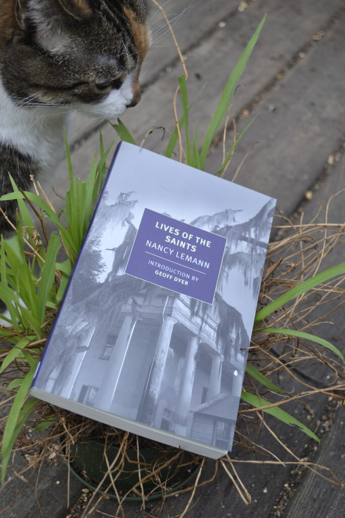 Lives of the Saints is a grayscale book that lies in a patch of grass on a worn porch. A calico tabby looms behind.