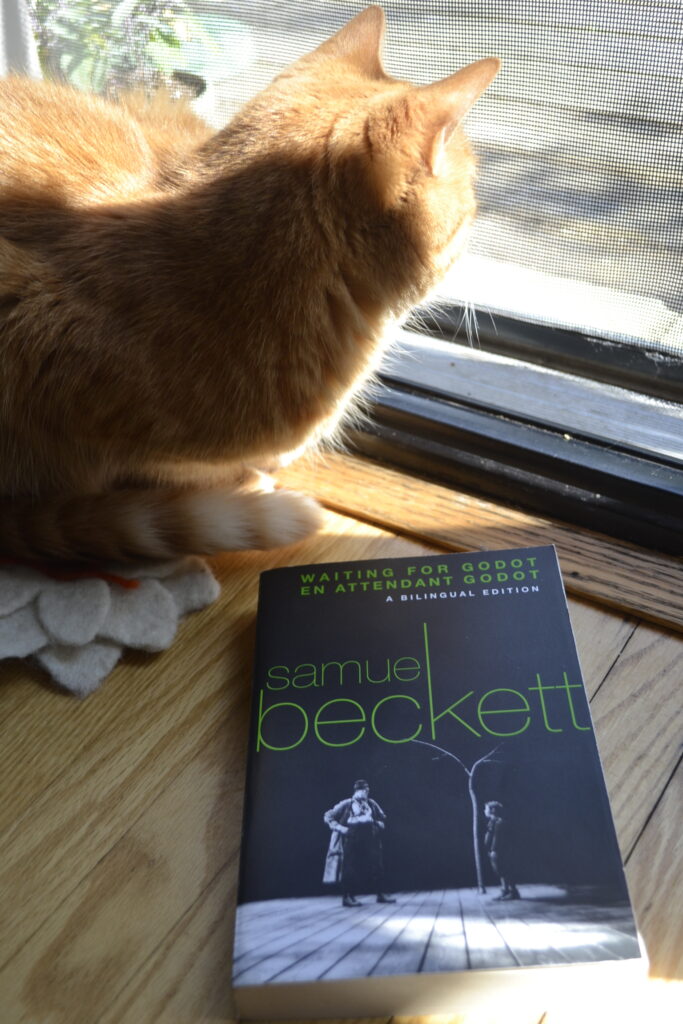 An orange cat crouches with her white-ringed tail wrapped around her feet. Beside her is a copy of Waiting for Godot.
