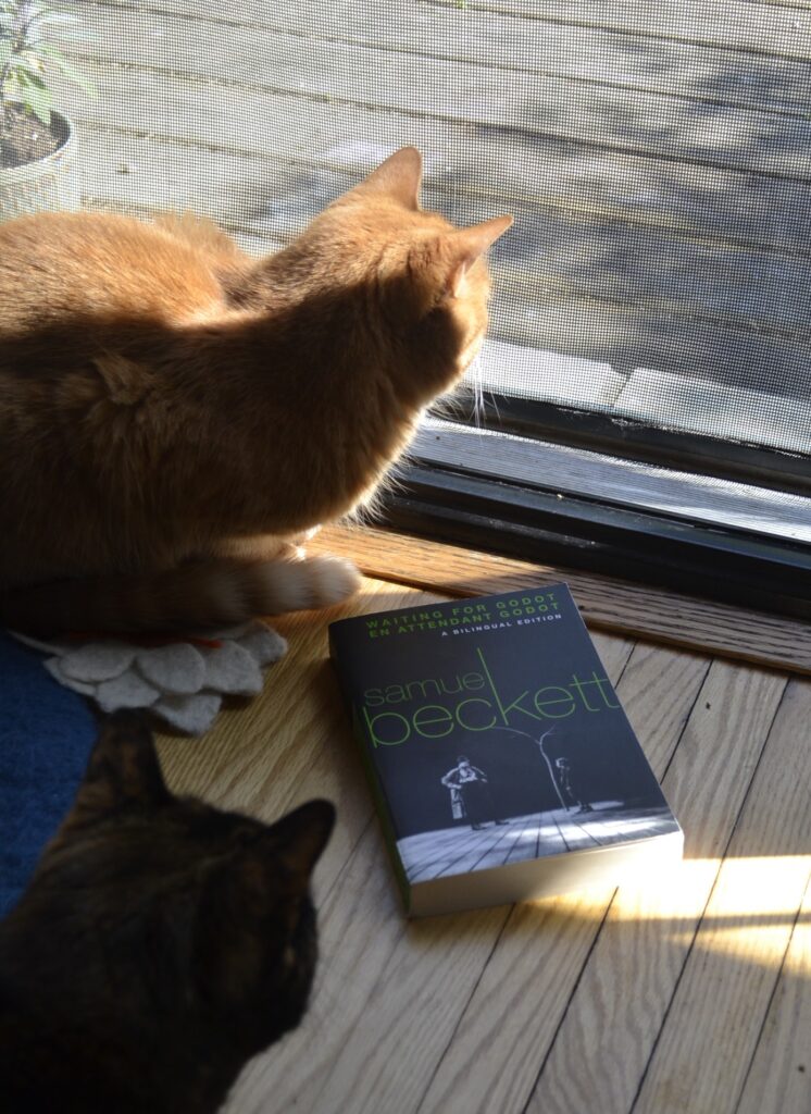 An orange tabby and a tortoiseshell cat crouch over a bilingual copy of Waiting for Godot/En Attendant Godot. The thick paper back has a black-and-white cover with lime green text.