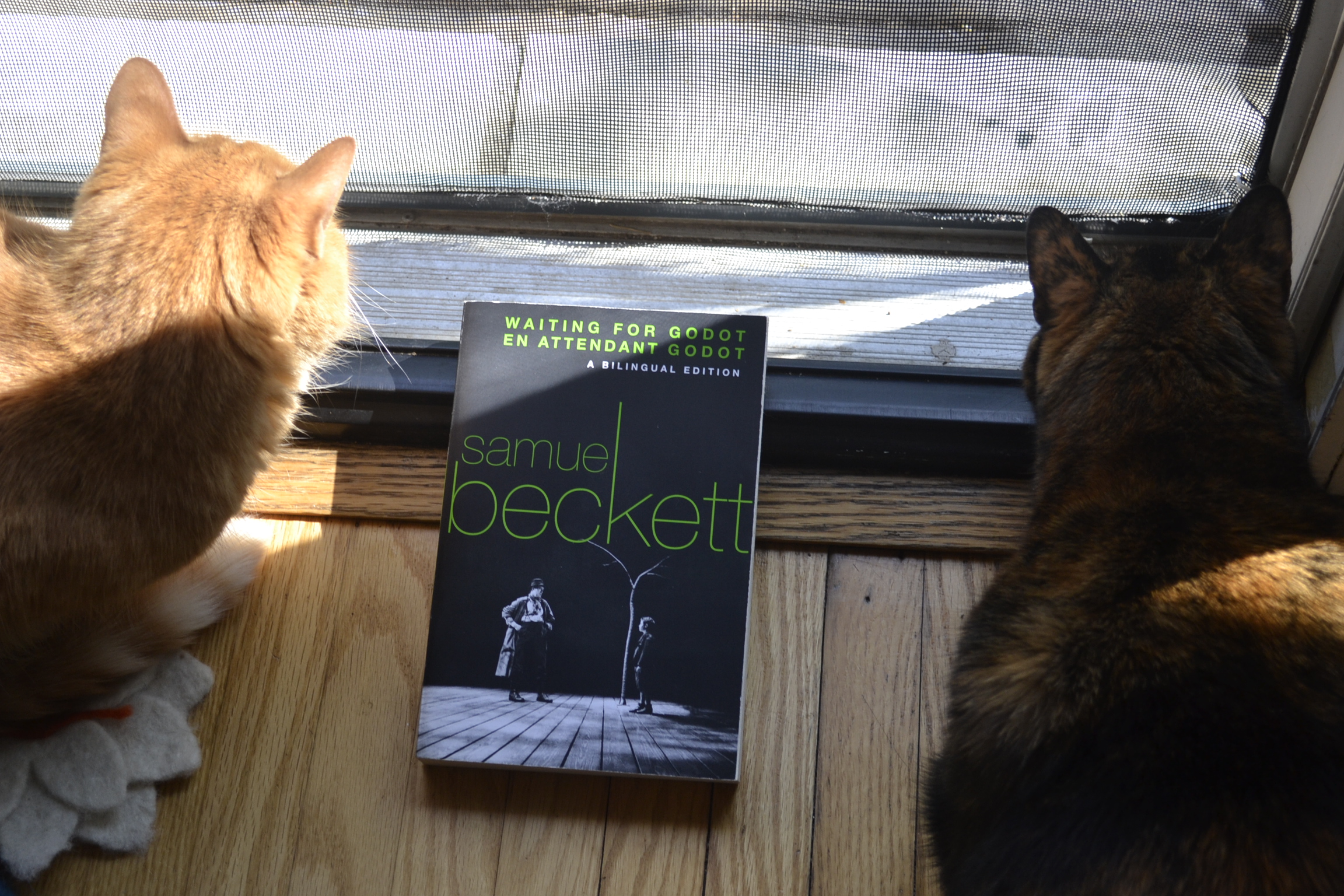 Two cats crouch on either side of a thick copy of Waiting for Godot. The book has lime green text over a black-and-white photo of a man and a boy standing beneath a bare tree on an empty stage.