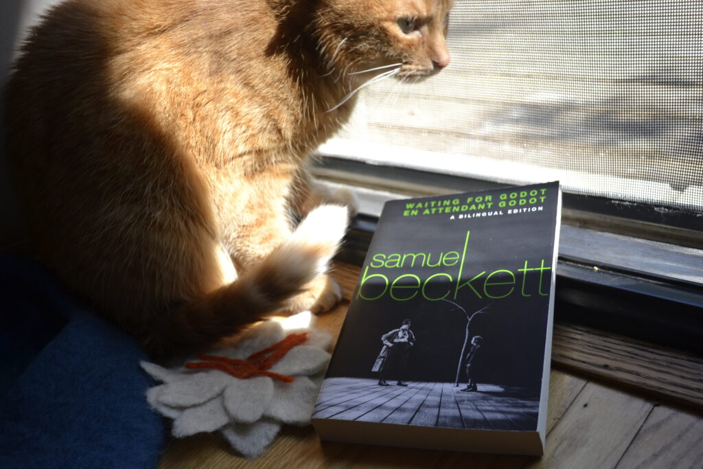 An orange cat crouches in the sunlight over a bilingual edition of Waiting for Godot.