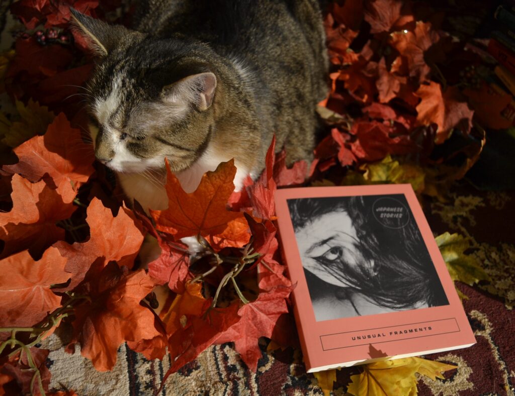 A calico tabby sits in a pile of fake red leaves beside a square coral-coloured book, Unusual Fragments.
