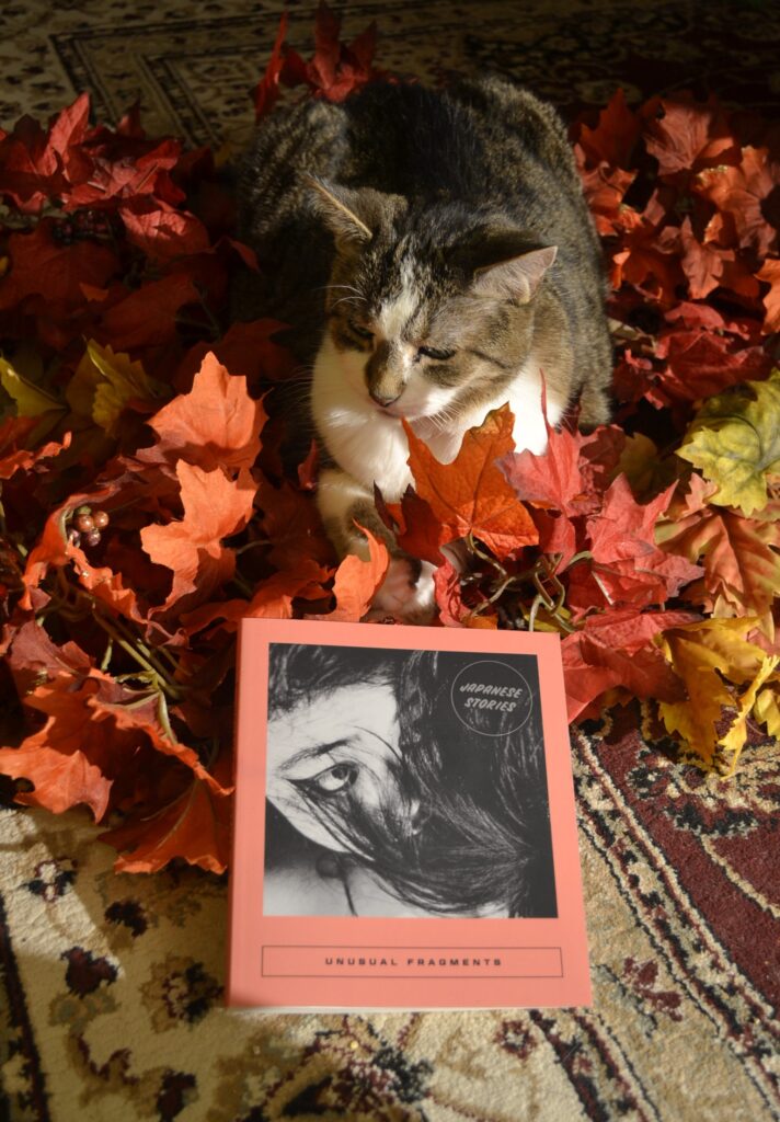 A calico tabby sits with her paws crossed in a pile of red and yellow fake leaves. In front of her is Unusual Fragments, a square coral-coloured softcover.