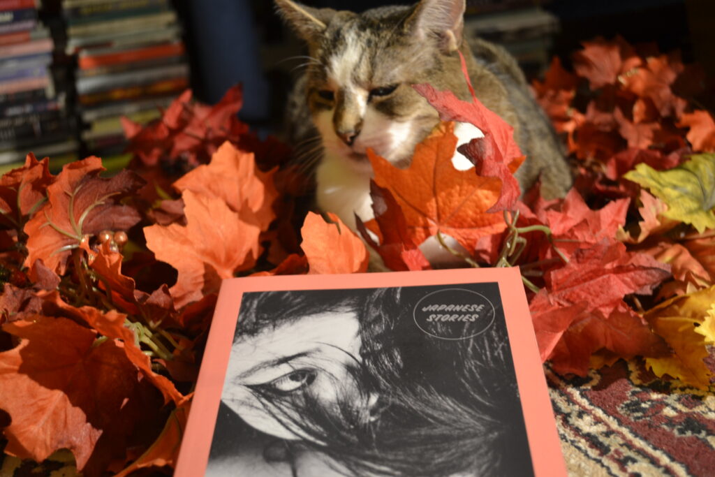 A calico tabby sits smugly in a pile of fake leaves. In front of her is a book of Japanese short stories.