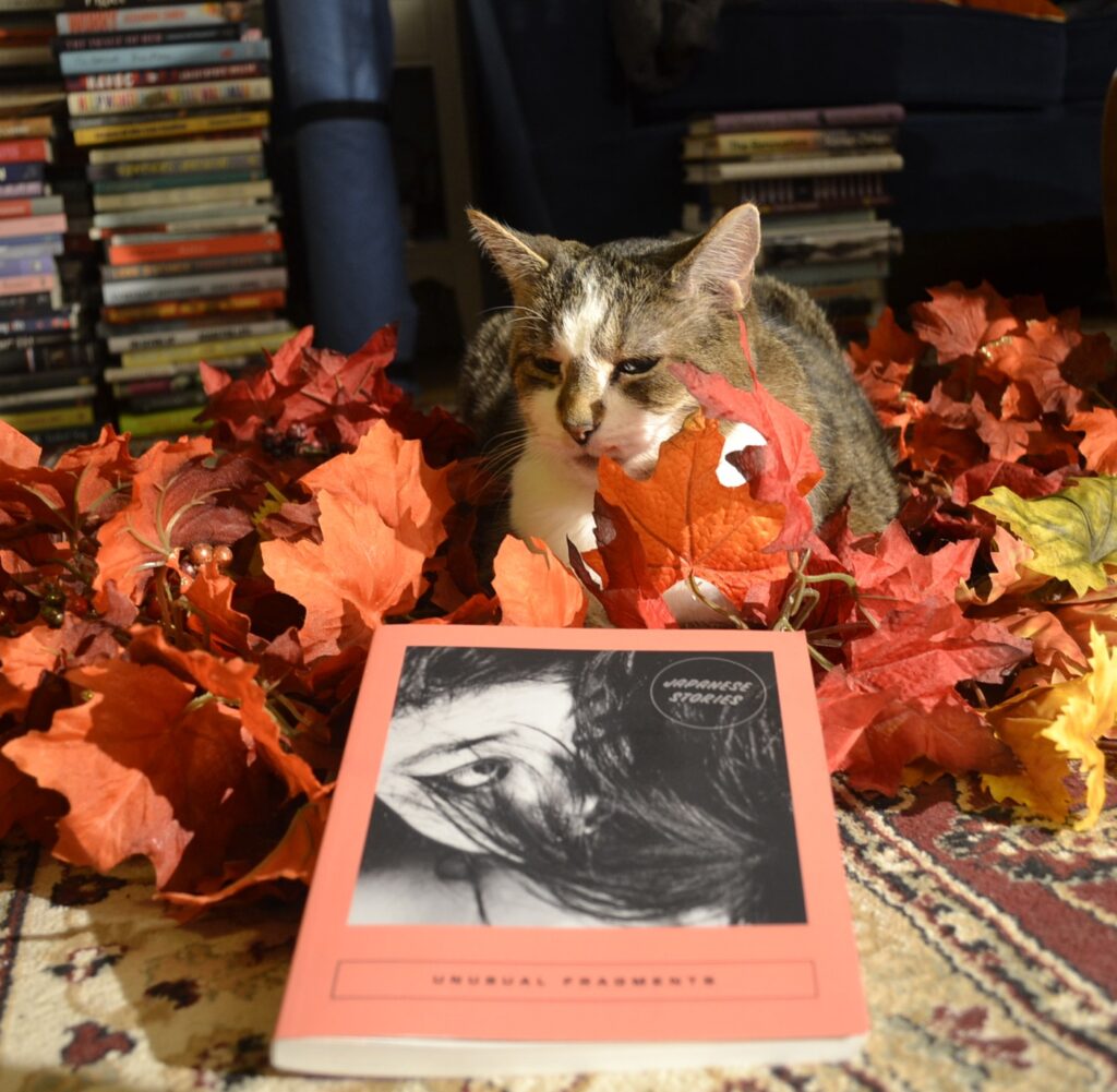 In front of a sack of books, a brown tabby with big ears sits half-obscured in a pile of red and orange fake leaves. In front her is a coral book of Japanese short stories.