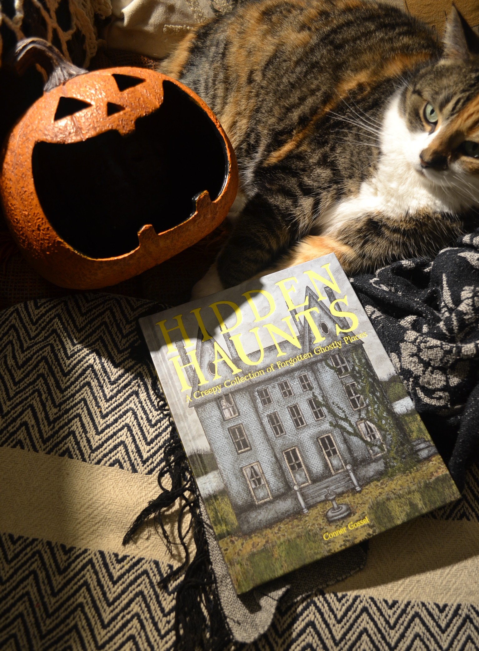 Hidden Haunts is an oversized hardcover book with a haunted house on the cover. A calico happy and a very happy jack-o-lantern lie beside it.