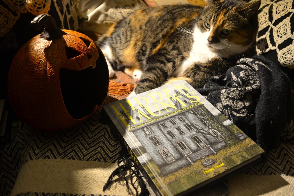 A calico tabby sits in bright yellow light. A copy of Hidden Haunts is by her paws and a widely smiling jack-o-lantern is beside the book.