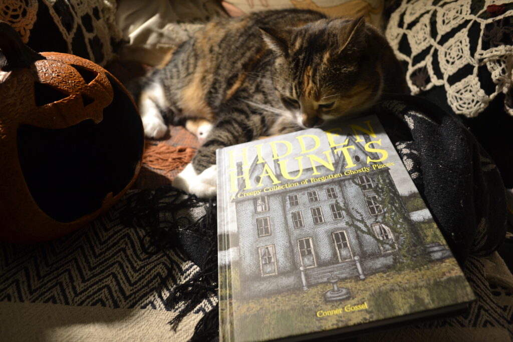 In yellow light and dark shadows, a calico tabby rubs the top edge of a hardcover book. Beside her in the shadows, a jack-o-lantern smiles widely.