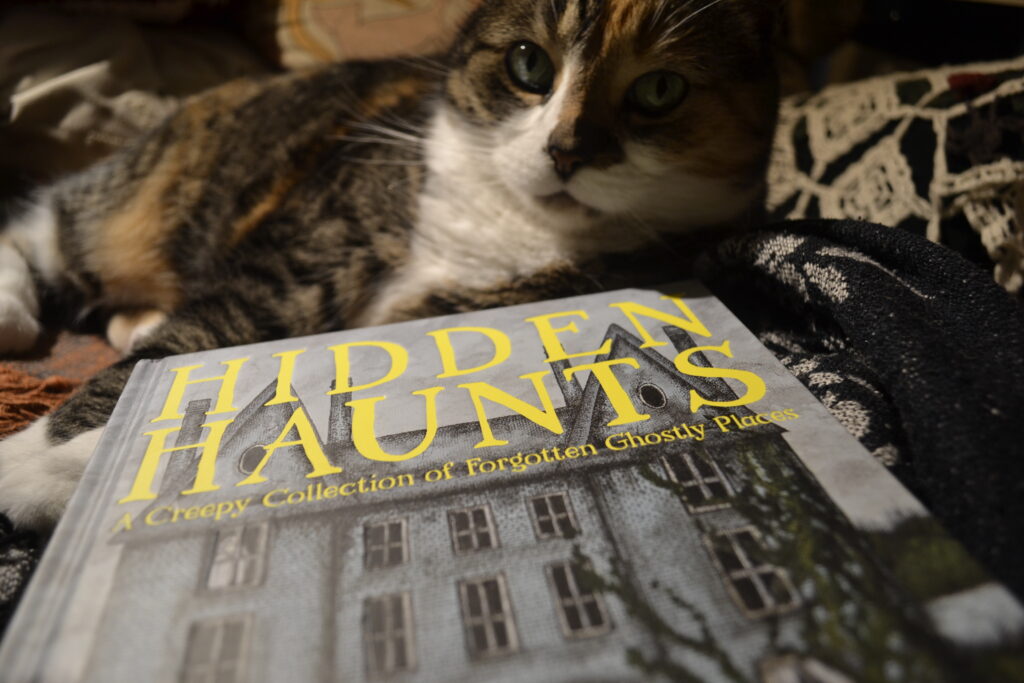 The yellow text of Hidden Haunts: A Creepy Collection of Forgotten Ghostly Places shines in yellow light. The book rests below the gaze of a calico tabby.