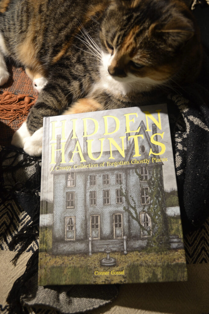 Hidden Haunts by Conner Gossel is an oversized hardcover book with a drawing of a spooky old house covered in vines on the cover. A ghost looks out of one window.