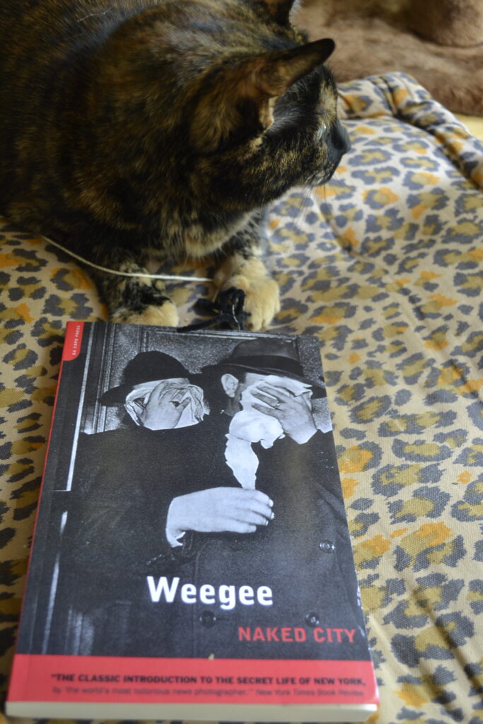 Weegee's Naked City is a paperback book with a red spine. The cover is a photograph of two men in black suits and fedoras covering their faces with white cloths.