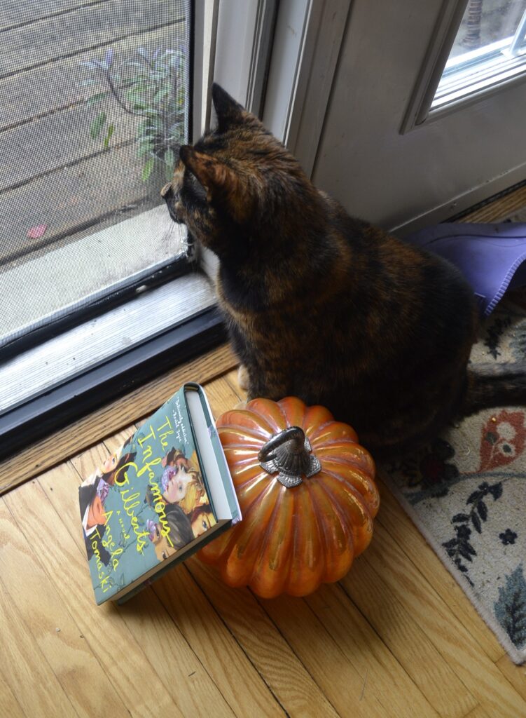 A tortoiseshell cat sits beside an orange glass pumpkin with a sculpted silver-coloured stem. A book leans against the pumpkin.