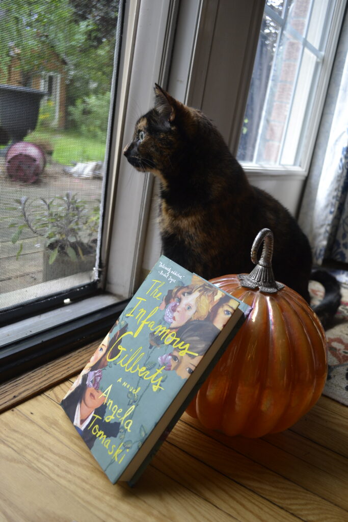 A tortoiseshell cat looks out a screen door. beside her is a glass pumpkin and a green-covered book.