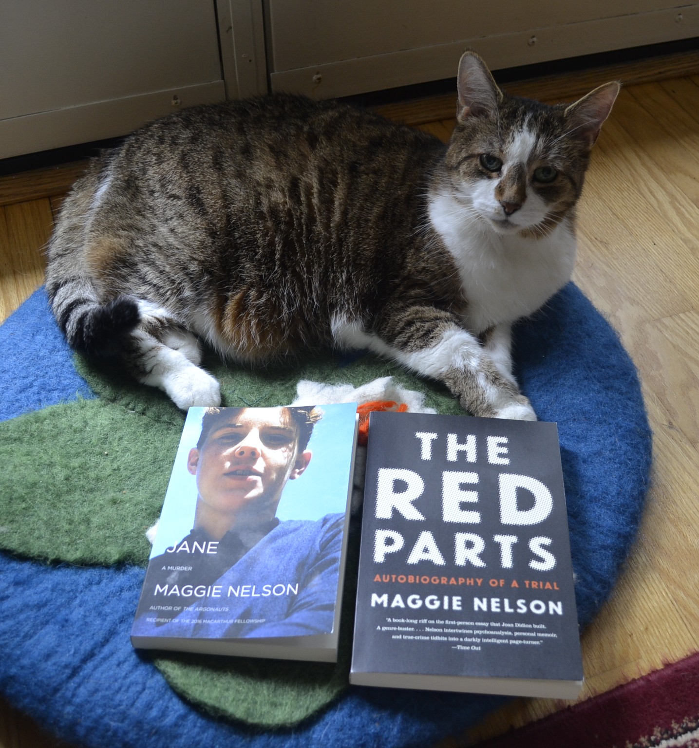 A curious fawn tabby with big ears lies beside two paperback books: Jane and The Red Parts, both by Maggie Nelson.