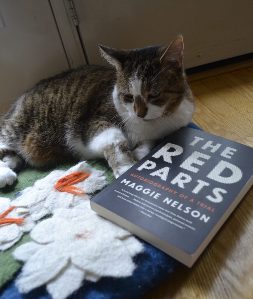 A tabby cat leans against the spine of The Red Parts by Maggie Nelson.
