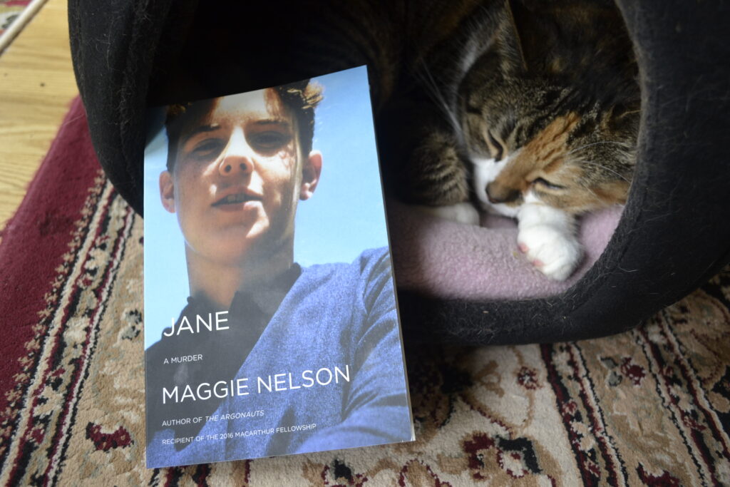 Jane: A Murder by Maggie Nelson leans against a domed cat bed where a calico tabby is sleeping.