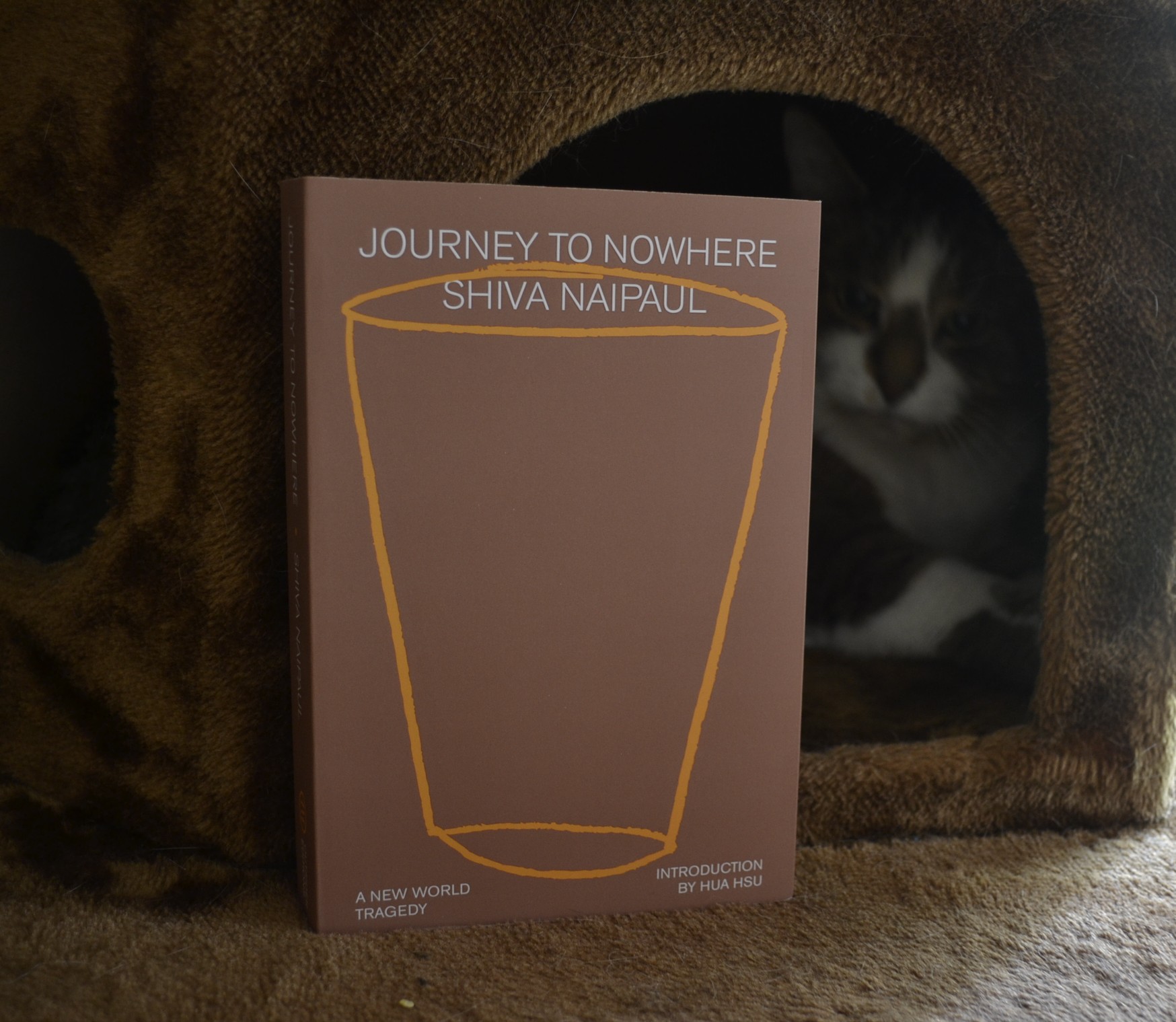 A softcover books stands in front of a box that a tabby cat is hiding in. The book is Journey to Nowhere by Shiva Naipaul.