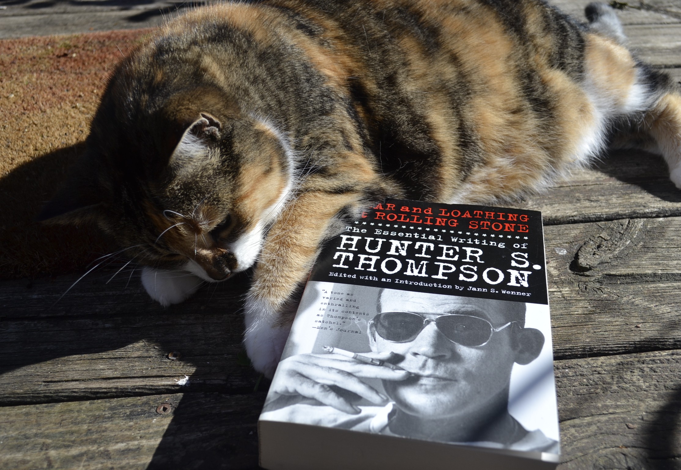 A calico tabby lies in the sunshine on a porch and paws the spine of a thick book: Fear and Loathing at Rolling Stone.