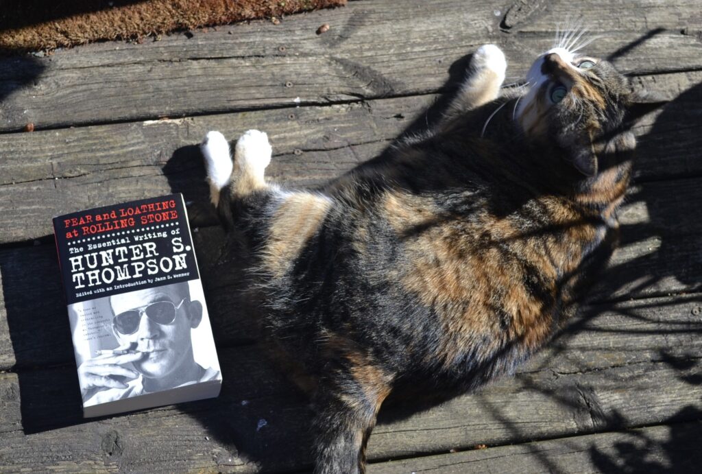 On a worn porch, a calico tabby lies in bright sunshine and lines of shadows. beside her is a thick paperback with a black-and-white picture of a sinewy pale man wearing T-bar sunglasses and smoking a cigarette.
