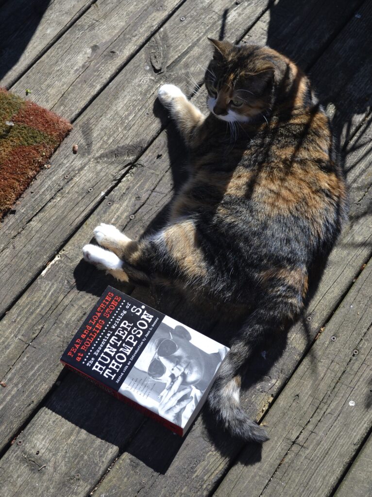 A calico tabby lies on a worn porch with a thick paperback book.