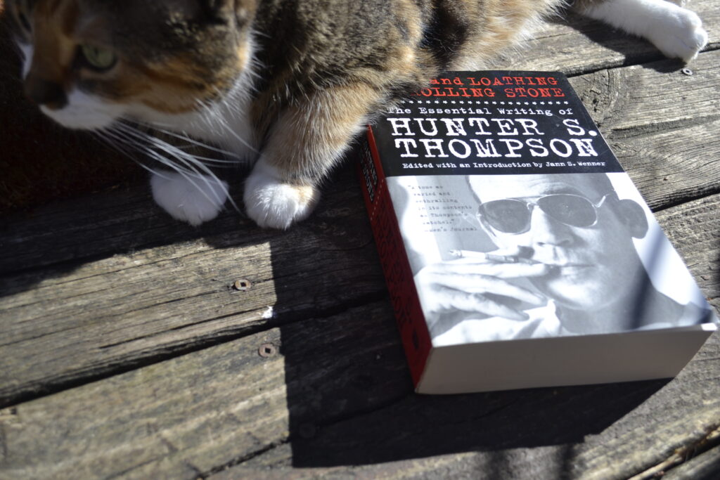 A calico tabby lies in the sunshine beside a copy of Fear and Loathing at Rolling Stone.