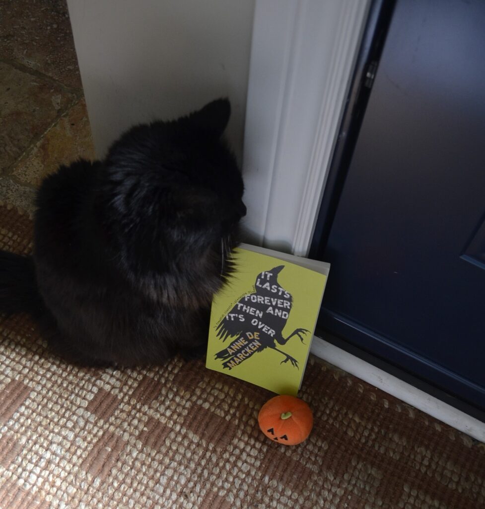 A black cat curls over the edge of a book with a crow on it — It Lasts Forever and Then It's Over by Anne De Marcken. A plush pumpkin toy sits beside them.